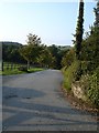 Driveway to Hidden Valley Holiday Park