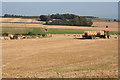 Taking in the Straw Bales