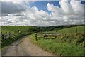 Track to Thornhill Farm