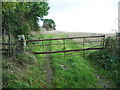 Gated track at the top of Mayfield Brow