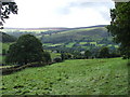 Verdant countryside.