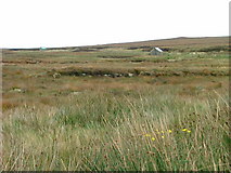 NB3845 : Buildings on the Moorland by Dave Fergusson