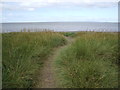 NY0742 : Footpath to the beach at Allonby by Alexander P Kapp