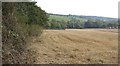 Stubble field south of Levardo