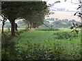 Fields north of Trethowa