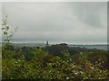 View to Biscovey church