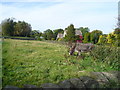 Footpath View near to Mill Lane