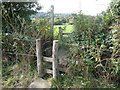 Double Stile with bridging section over ditch