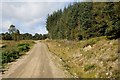 NH2321 : The Allt Garbh track near Cougie by Douglas R McKenzie
