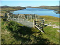 Sheep Fanks overlooking Loch R?g Beag