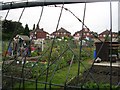 Allotments off Oldfield  Lane