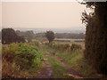 Engine Lane Goldthorpe