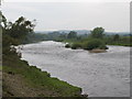 River Tyne east of Hexham (2)