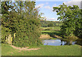 Pool in Grazing Land, near Bollington, Cheshire