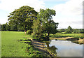 Grazing Land and Pool, near Bollington, Cheshire