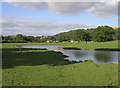 Evening Shadows, near Bollington, Cheshire