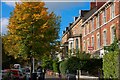 Ulsterville Avenue, Belfast