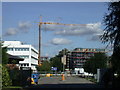 Construction crane on St Andrew