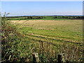 Farmland at Christielands