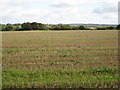 Fields at the side of Tag Lane