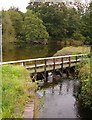 Canal feeder, Penarth weir