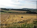 NU1111 : Combine Harvesting at Lemmington by Alison Rawson