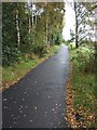 Old Deeside railway route