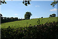 Egloskerry: near Coombekeale