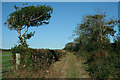 North Petherwin: footpath to Copthorne