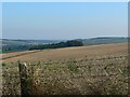 Farmland near Aldbourne Warren, Wiltshire