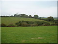 Looking towards Waddock