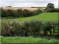 Farmland near High Farm