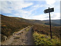 NO3084 : Public footpath to Glen Clova from Spittal of Glenmuick by Nigel Corby