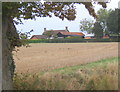 Farmland looking towards farmstead