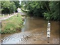 The Ford at Terling