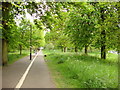 Cycle lane and path, Tooting Graveney Common.