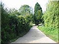 View along farm road near Farthingate, Eastry