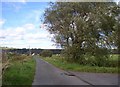 Road across East Marsh, Laugharne