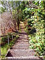 Fife Coastal Path