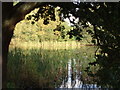 The Loch at Stirling University