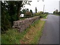 H9056 : An old stone Bridge Parapet, Blackisland Road, Portadown. by P Flannagan