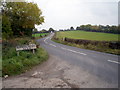 Summerisland Road near Moy.