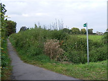 SP8812 : Footpath between Aston Clinton and Buckland by David Sands