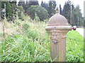 The Ancient Pump at  Whitemires