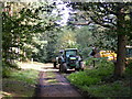 Forestry works, Home Park, Hatfield House