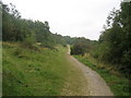 Ridgeway climbing Coombe Hill