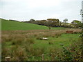 Farmland near Bryncoch