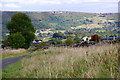 The lane down to Stoney Middleton