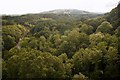 View from River Dee viaduct, Newbridge bypass