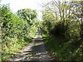 Lane near Bron-y-Gaer, Llandissilio West